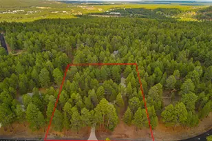 3948 Westwood Cir, Flagstaff, AZ 86005 - Photo 49