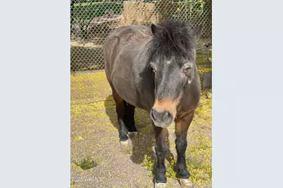 30434 N 59th Street, Cave Creek, AZ 85331 - Photo 57
