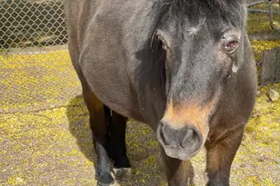 30434 N 59th St, Cave Creek, AZ 85331 - Photo 57