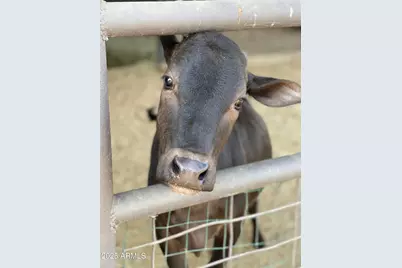 30434 N 59th Street, Cave Creek, AZ 85331 - Photo 53