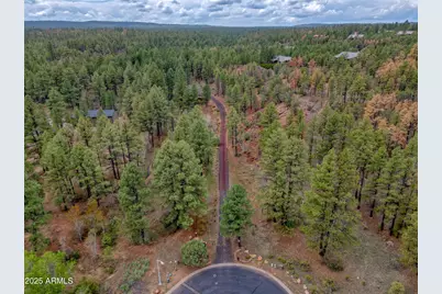 5160 W Tatanka Loop, Show Low, AZ 85901 - Photo 19