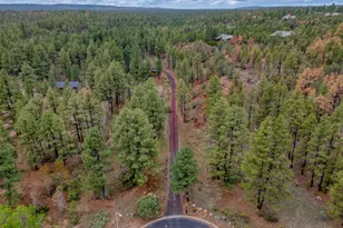 5160 W Tatanka Loop, Show Low, AZ 85901 - Photo 19