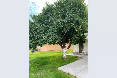 10202 W Bolivar Drive, Sun City, AZ 85351 - Photo 17