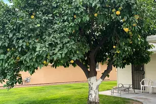 10202 W Bolivar Dr, Sun City, AZ 85351 - Photo 17