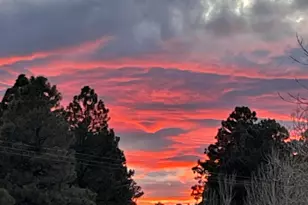 2702 Covered Wagon Trail, Overgaard, AZ 85933 - Photo 75