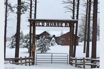 2702 Covered Wagon Trail, Overgaard, AZ 85933 - Photo 91