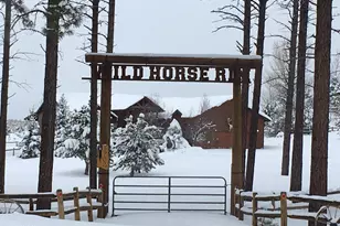 2702 Covered Wagon Trail, Overgaard, AZ 85933 - Photo 91
