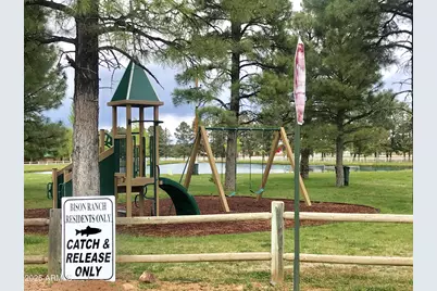 2702 Covered Wagon Trail, Overgaard, AZ 85933 - Photo 71