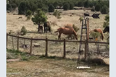 2702 Covered Wagon Trail, Overgaard, AZ 85933 - Photo 81