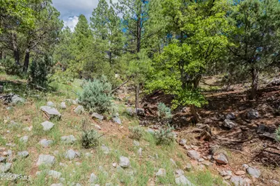 199 S Greystone Circle, Payson, AZ 85541 - Photo 67