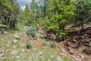 199 S Greystone Circle, Payson, AZ 85541 - Photo 67