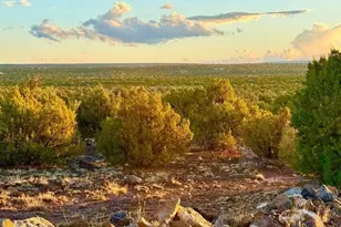 0 Weber Rd Lot A 5 Acres --, Show Low, AZ 85901 - Photo 1