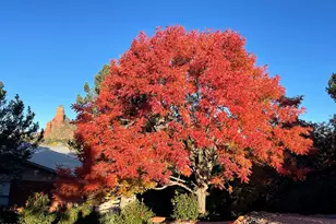 465 Concho Dr, Sedona, AZ 86351 - Photo 57