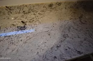 12627 W Windsor Blvd, Litchfield Park, AZ 85340 - Photo 19