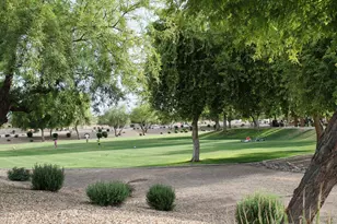 12627 W Windsor Blvd, Litchfield Park, AZ 85340 - Photo 3