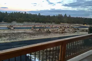 2872 Chandelle Ln, Overgaard, AZ 85933 - Photo 69