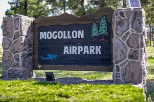 2872 Chandelle Ln, Overgaard, AZ 85933 - Photo 63