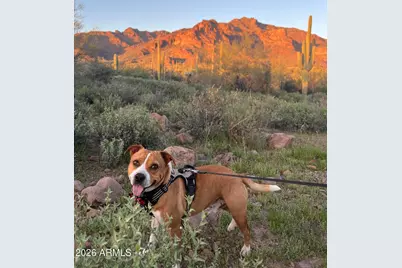 0 S Buckboard Road #2, Gold Canyon, AZ 85118 - Photo 17