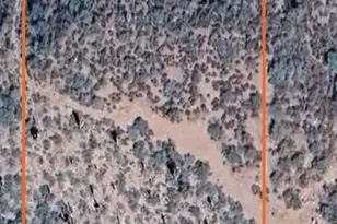 Xxx Gila Monster Way, Tonto Basin, AZ 85553 - Photo 1