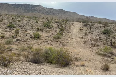 000 N Mohave Drive #48, Dolan Springs, AZ 86441 - Photo 1