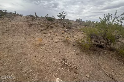 000 N Mohave Drive #48, Dolan Springs, AZ 86441 - Photo 5