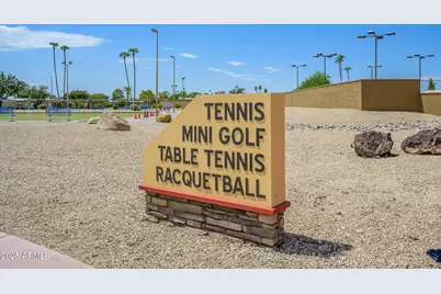 9702 W Pineridge Drive, Sun City, AZ 85351 - Photo 27