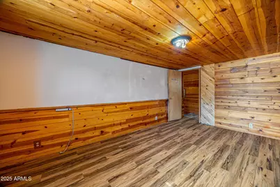 2933 Wildcat Trail, Overgaard, AZ 85933 - Photo 23