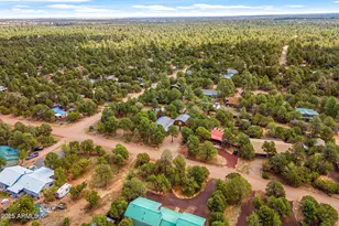 2933 Wildcat Trail, Overgaard, AZ 85933 - Photo 39