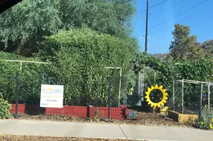 9631 N 12th Ave, Phoenix, AZ 85021 - Photo 25