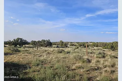 110 N County Road N5578 --, Concho, AZ 85924 - Photo 5