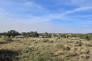 110 N County Road N5578 --, Concho, AZ 85924 - Photo 5
