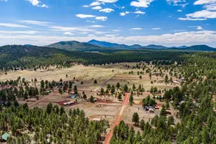 7291 E Jolly Rogue Ln, Williams, AZ 86046 - Photo 67