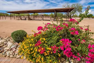 30709 N 149th St, Scottsdale, AZ 85262 - Photo 45