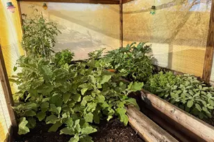 2160 N Jean St, Camp Verde, AZ 86322 - Photo 33