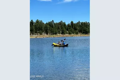 2399 Quarter Horse Trail #241, Overgaard, AZ 85933 - Photo 25