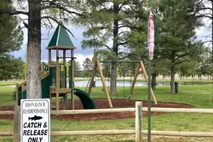 2399 Quarter Horse Trl, Overgaard, AZ 85933 - Photo 23