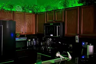 15505 W Coral Pointe Dr, Surprise, AZ 85374 - Photo 9