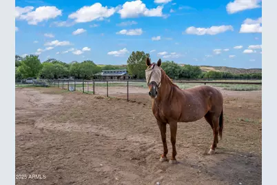 4489 N Ocotillo Road, Benson, AZ 85602 - Photo 55