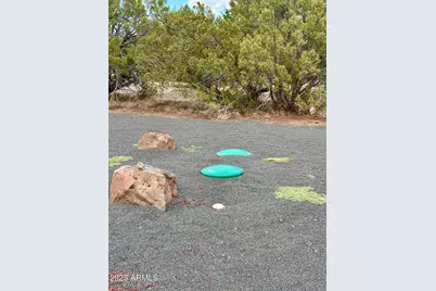 1826 Howard Place #157, Show Low, AZ 85901 - Photo 9