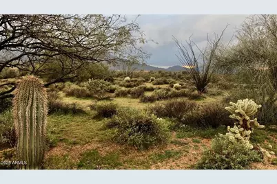 39005 N Crested Quail Run #18, Carefree, AZ 85377 - Photo 15