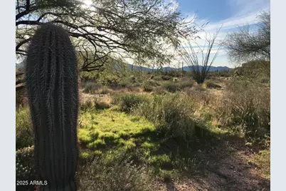39005 N Crested Quail Run #18, Carefree, AZ 85377 - Photo 21