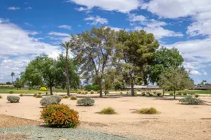 18601 N Welk Dr, Sun City, AZ 85373 - Photo 29