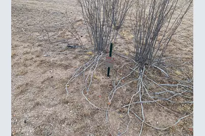 313Xx W Indian School Road #-, Buckeye, AZ 85396 - Photo 3