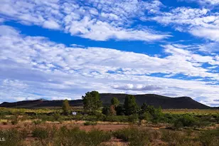 653 E Border Rd, Bisbee, AZ 85603 - Photo 5