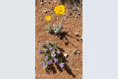 653 E Border Road, Bisbee, AZ 85603 - Photo 33