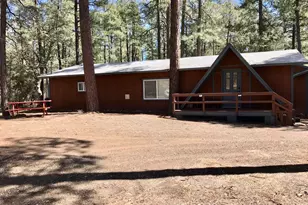 8871 W Wild Turkey Ln, Pine, AZ 85544 - Photo 3