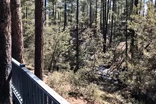 8871 W Wild Turkey Ln, Pine, AZ 85544 - Photo 25