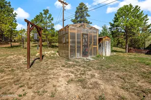 2003 Little Doe Trail, Overgaard, AZ 85933 - Photo 7