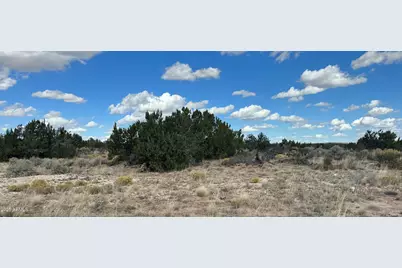 483 County Rd N7299 -- #-, Saint Johns, AZ 85936 - Photo 7