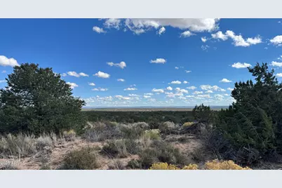 483 County Rd N7299 -- #-, Saint Johns, AZ 85936 - Photo 5